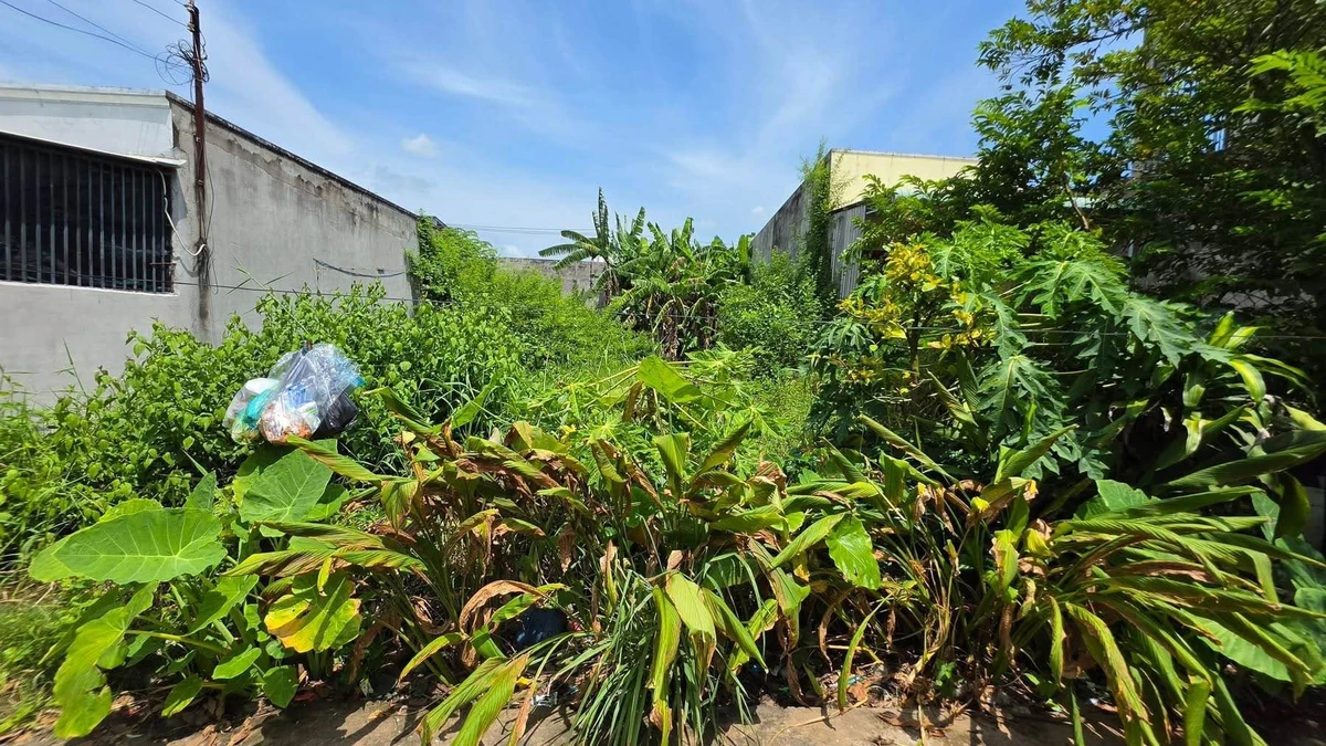 Bán 2 sổ liền kề 200m² Đại Nẫm, Hóc Môn 1 tỷ 850 triệu - Ảnh thu nhỏ 2