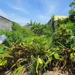 Bán 2 sổ liền kề 200m² Đại Nẫm, Hóc Môn 1 tỷ 850 triệu - Ảnh thu nhỏ 2