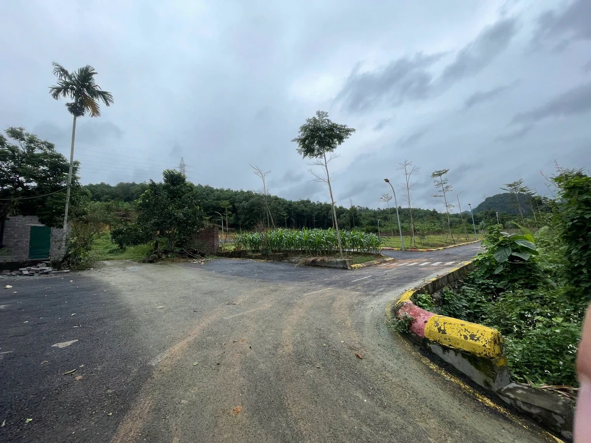 Bán đất 1.855m² tại Ba Hàng Đồi, Hòa Bình, 3,9 tỷ - Ảnh thu nhỏ 2