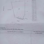 Bán lô đất vườn 6600m² Đồng Tháp 450tr/m² - Ảnh thu nhỏ 1