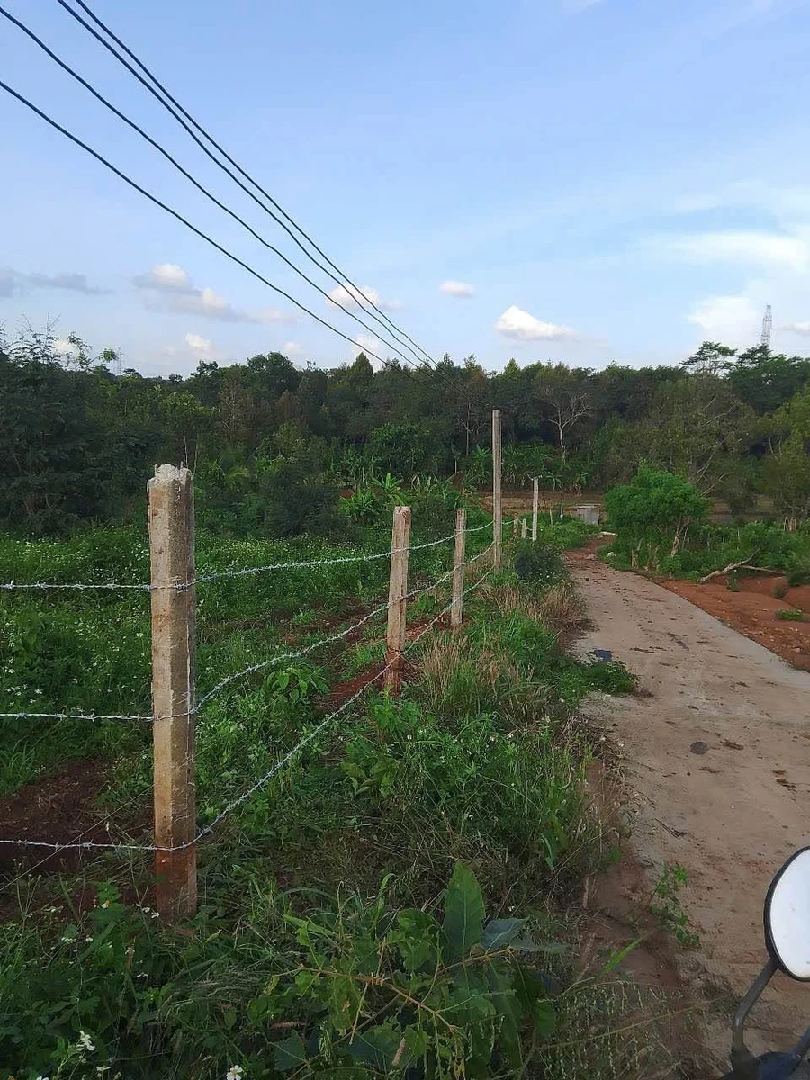 Bán đất 1 sào Hoà Xuân 40m mặt tiền 550 triệu - Ảnh 1