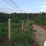 Bán đất 1 sào Hoà Xuân 40m mặt tiền 550 triệu - Ảnh thu nhỏ 1