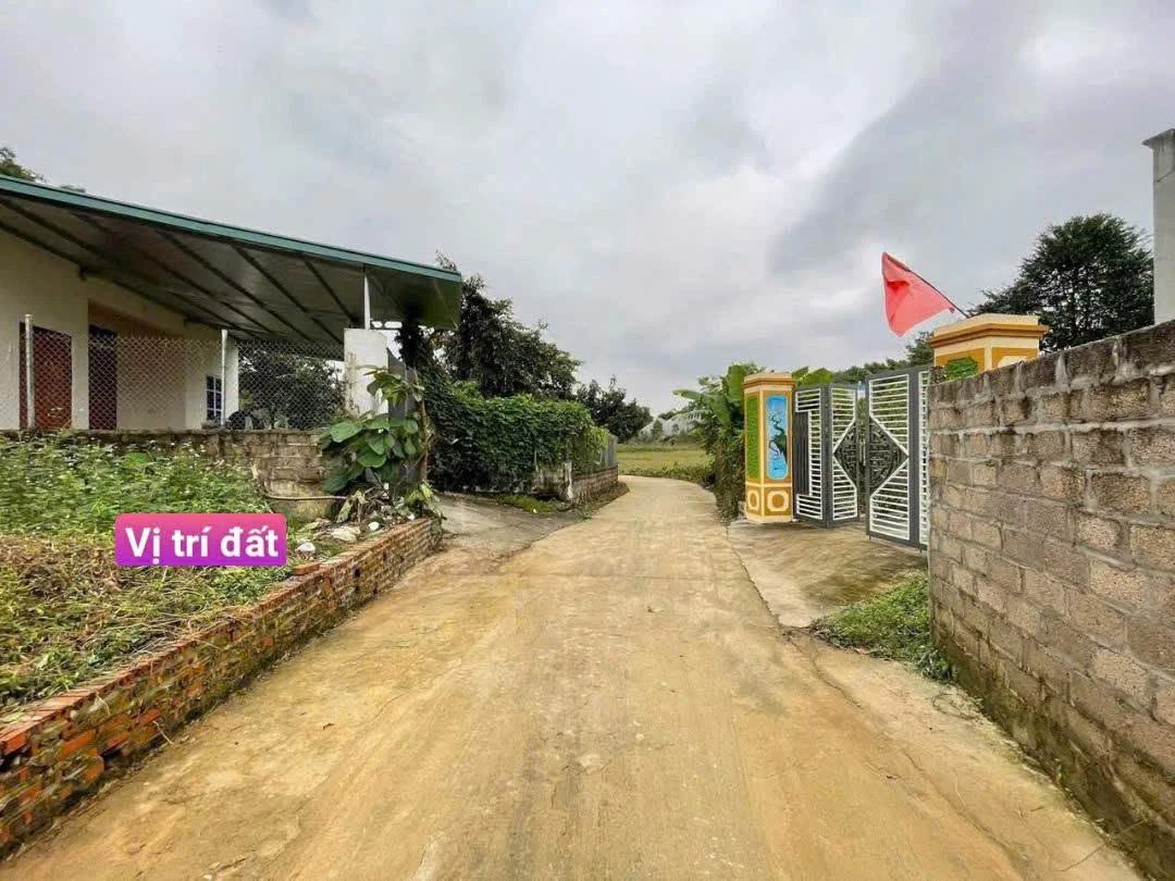 Bán đất 211m² sổ đỏ riêng tại Suối Hai, Hà Nội - 500 triệu - Ảnh thu nhỏ 2