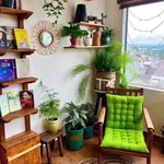 Bán gấp Homestay 64m² 8PN 9WC Đà Lạt 6.2 tỷ - Ảnh thu nhỏ 2