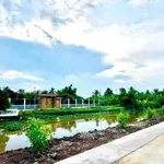 Bán 3 nền đất liền kề Thạnh Lộc 230m² sổ hồng - Ảnh thu nhỏ 4