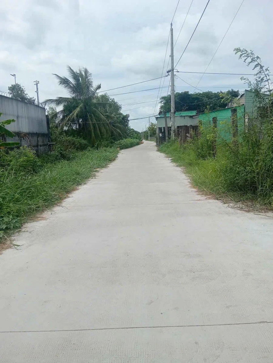 Bán đất mặt tiền Liên Ấp 1-3A, Xã Phước Lợi, Long An 198.75m² - Ảnh thu nhỏ 5