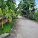 Bán đất mặt tiền Đồng Đen 300m² Bình Chánh 5.5 tỷ - Ảnh thu nhỏ 1