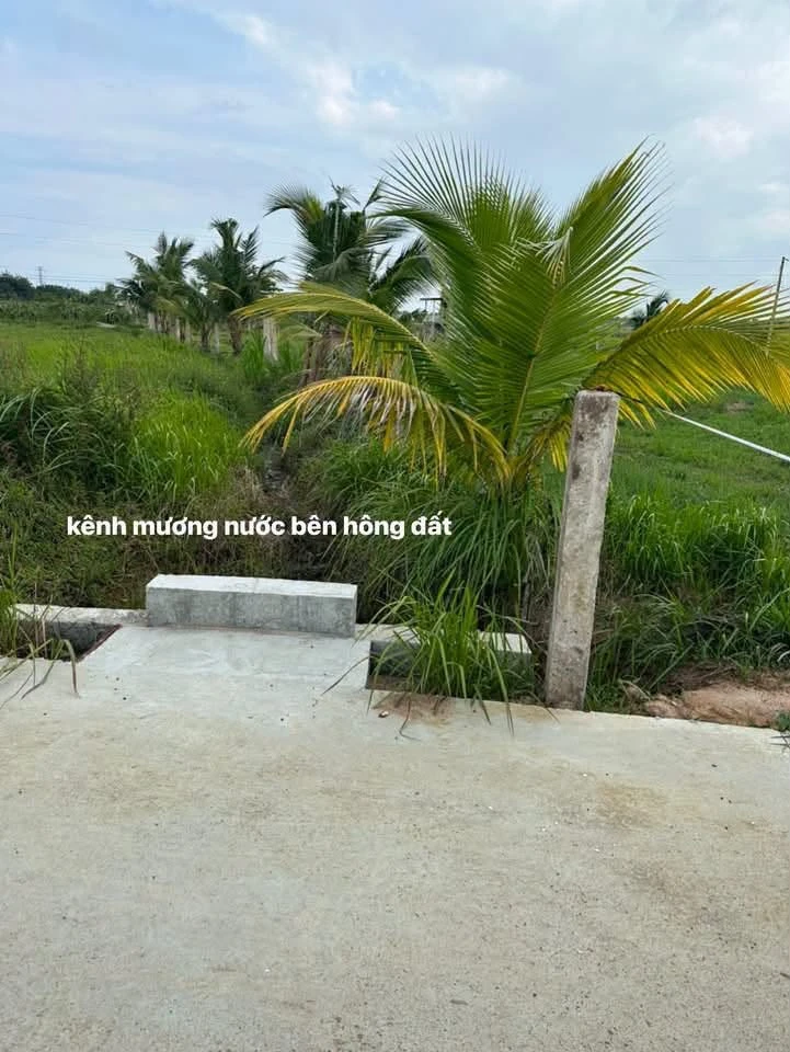 Bán đất 2600m² 2 mặt tiền Hàm Liêm, Lâm Đồng - Ảnh thu nhỏ 4