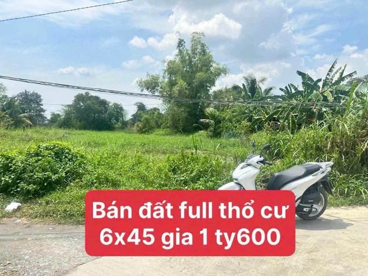 Bán đất thổ cư 6x45m ấp 5, Đức Hòa Đông, Long An giá 1,6 tỷ - Ảnh 1