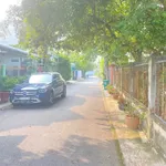 Bán đất 7,3x34m thổ cư 100m² gần vòng xoay Gò Đậu, Chánh Nghĩa, Bình Dương - Ảnh thu nhỏ 4