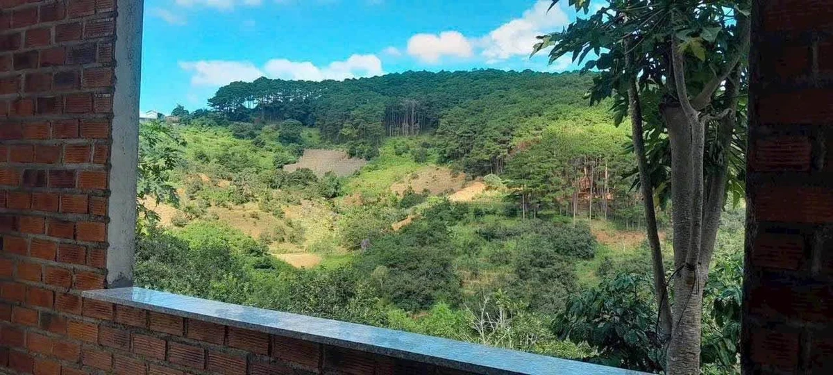 Bán lô đất 884 m² sẵn thổ cư, view đẹp ở Lâm Đồng - Ảnh thu nhỏ 2