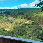 Bán lô đất 884 m² sẵn thổ cư, view đẹp ở Lâm Đồng - Ảnh thu nhỏ 2