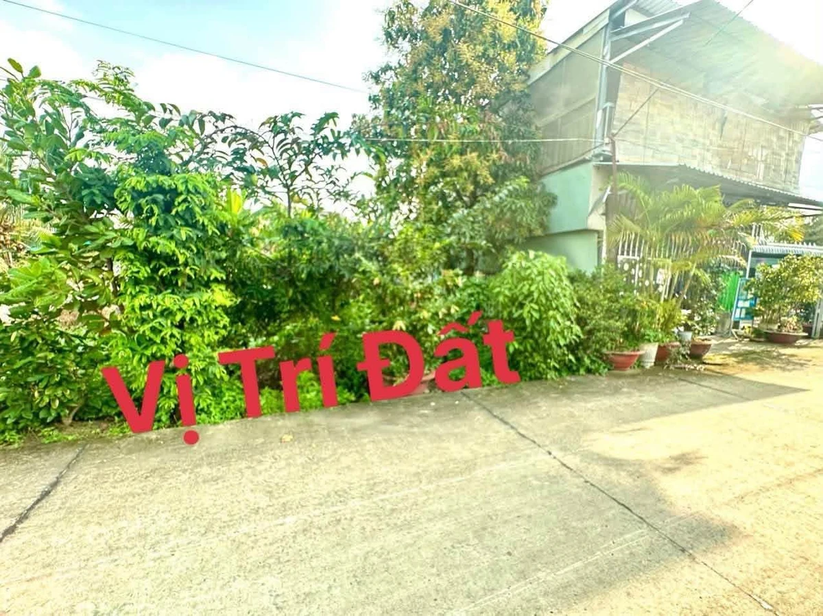 Bán đất vườn 258.7m² tại Bến Lức, Long An - 1 tỷ 500 triệu - Ảnh thu nhỏ 3