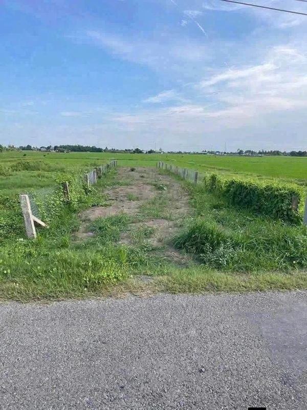 Bán 167m2 đất thổ mặt tiền đường nhựa Nguyễn Thị Lầu, Mỹ Thạnh, Tân Trụ, Long An