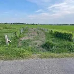 Bán 167m2 đất thổ mặt tiền đường nhựa Nguyễn Thị Lầu, Mỹ Thạnh, Tân Trụ, Long An - Ảnh thu nhỏ 1
