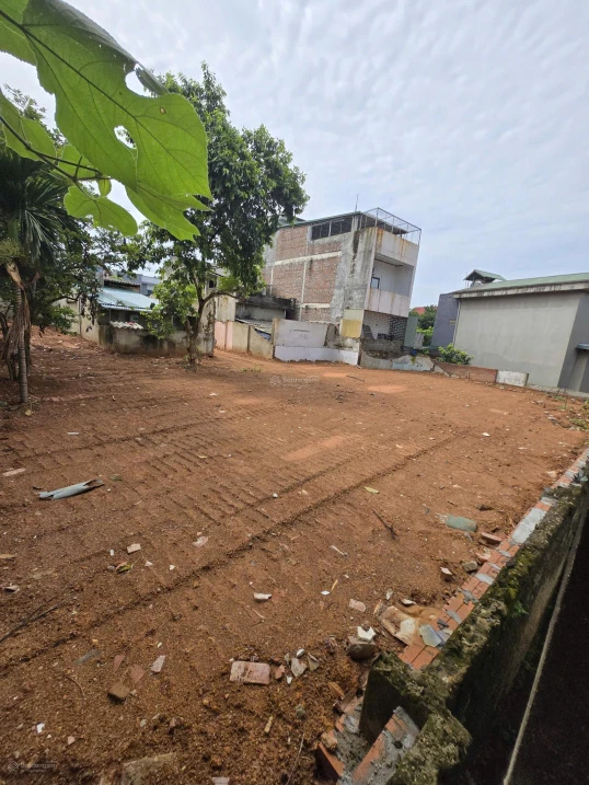 Chính chủ gửi bán đất 289.5m2 Phong Châu, Phù Ninh, Phú Thọ, sổ đỏ chính chủ giá rẻ - Ảnh thu nhỏ 3