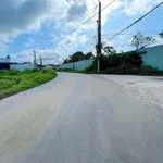 Bán đất mặt tiền Út An Đức Hoà 150m2, 1 tỷ 650 triệu - Ảnh thu nhỏ 2