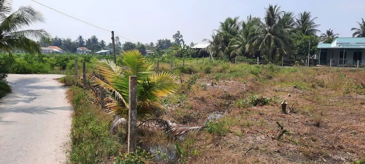 Bán đất vườn 2500 m² Lương Hòa, Bến Lức, Long An - Ảnh thu nhỏ 3