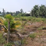 Bán đất vườn 2500 m² Lương Hòa, Bến Lức, Long An - Ảnh thu nhỏ 3