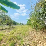 Bán đất view ruộng 500m² giá 750 triệu Long Khánh - Ảnh thu nhỏ 2