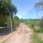 Bán đất 250m² Gò Dầu Tây Ninh gần bệnh viện - Ảnh thu nhỏ 2