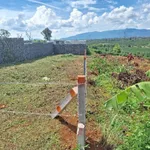 Bán đất hẻm Trường Sơn 138m² 420 triệu - Ảnh thu nhỏ 2