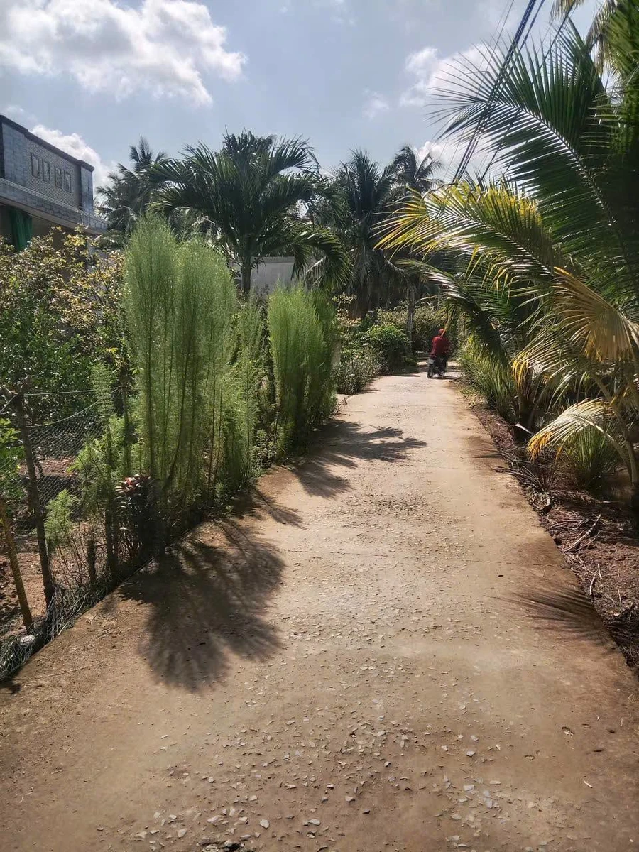 Bán đất Tân Thanh 51m², 300 triệu - Ảnh thu nhỏ 4