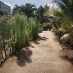 Bán đất Tân Thanh 51m², 300 triệu - Ảnh thu nhỏ 4