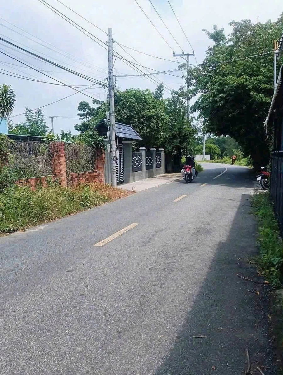Bán đất 247m2 tại xã Phước Hải, giá 600 triệu - Ảnh thu nhỏ 2