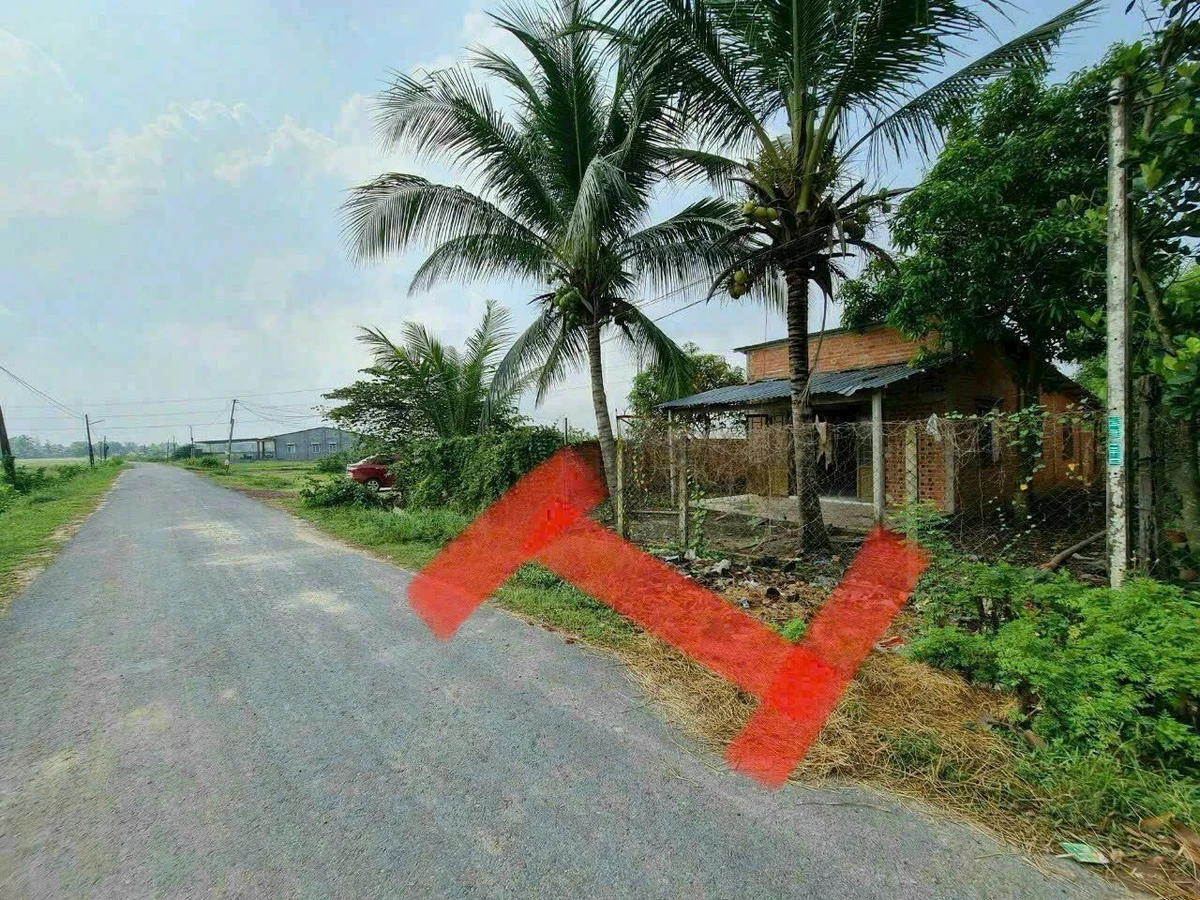 Bán đất 13x25m (325m²) Thạnh Phước Gò Dầu 1 tỷ 450 - Ảnh thu nhỏ 3