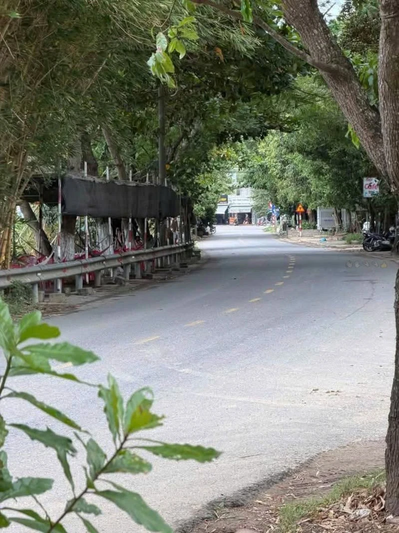 Bán đất 145m2 mặt tiền Quốc lộ Hòa Vang Đà Nẵng - Ảnh thu nhỏ 2