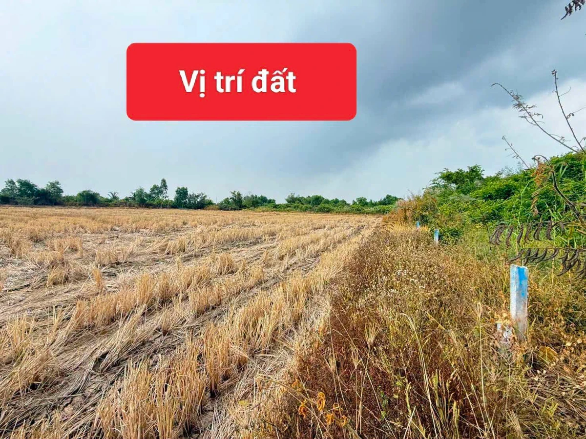 Bán đất 5x20m thổ cư 100% đường nhánh Võ Trường Toản, Rạch Giá giá 440 triệu - Ảnh thu nhỏ 5