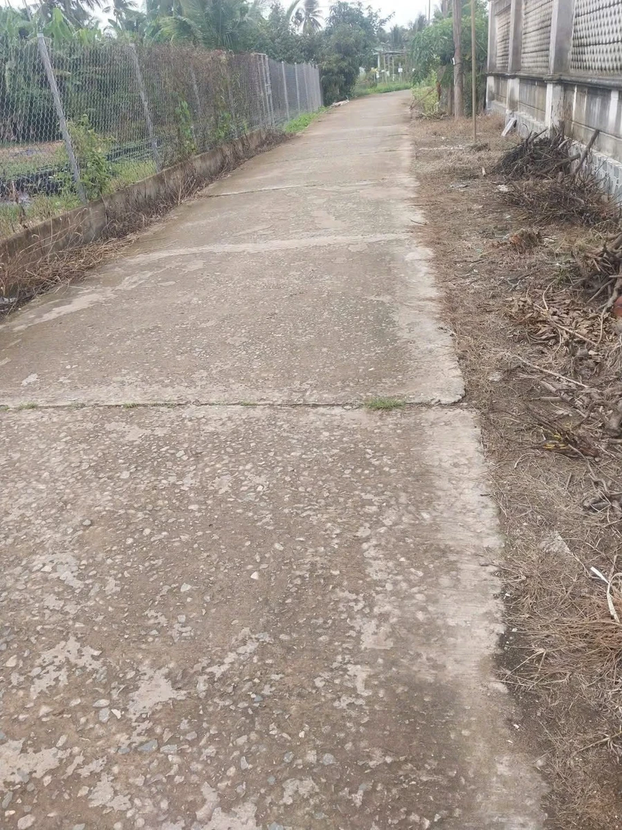 Bán đất vườn 10.000m² xã Hưng Khánh Trung A Vĩnh Long - Ảnh 1