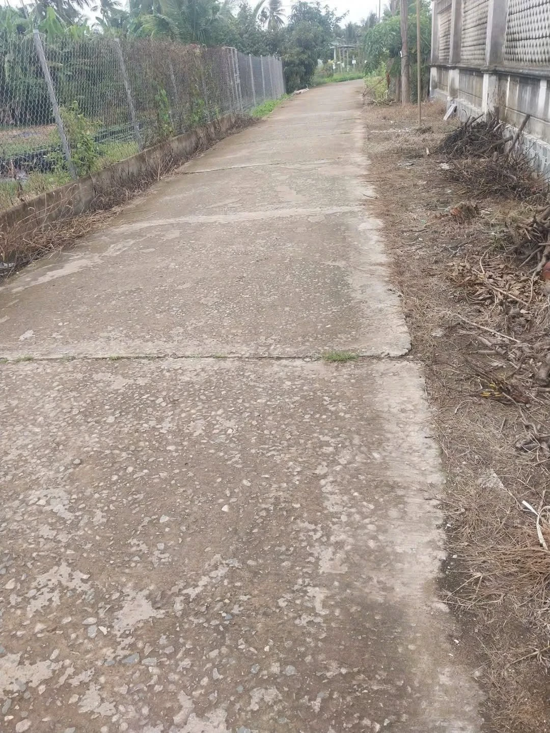 Bán đất vườn 10.000m² xã Hưng Khánh Trung A Vĩnh Long - Ảnh 1