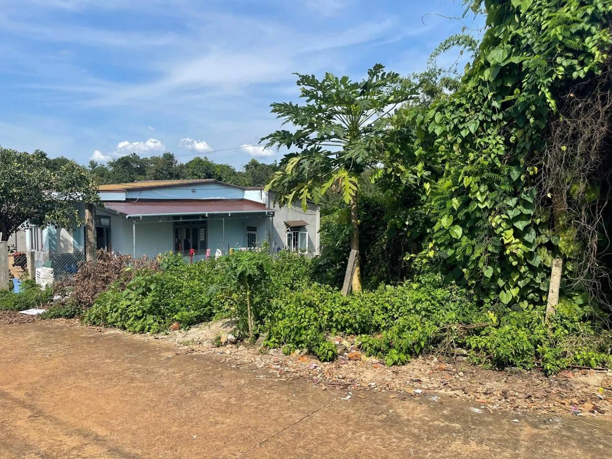 Bán đất 10x48m (thổ cư 60m2) giá 999 triệu mặt tiền đường nhựa tại Buôn Tăng Jú, Phường Ea Kao, Đắk Lắk - Ảnh thu nhỏ 2