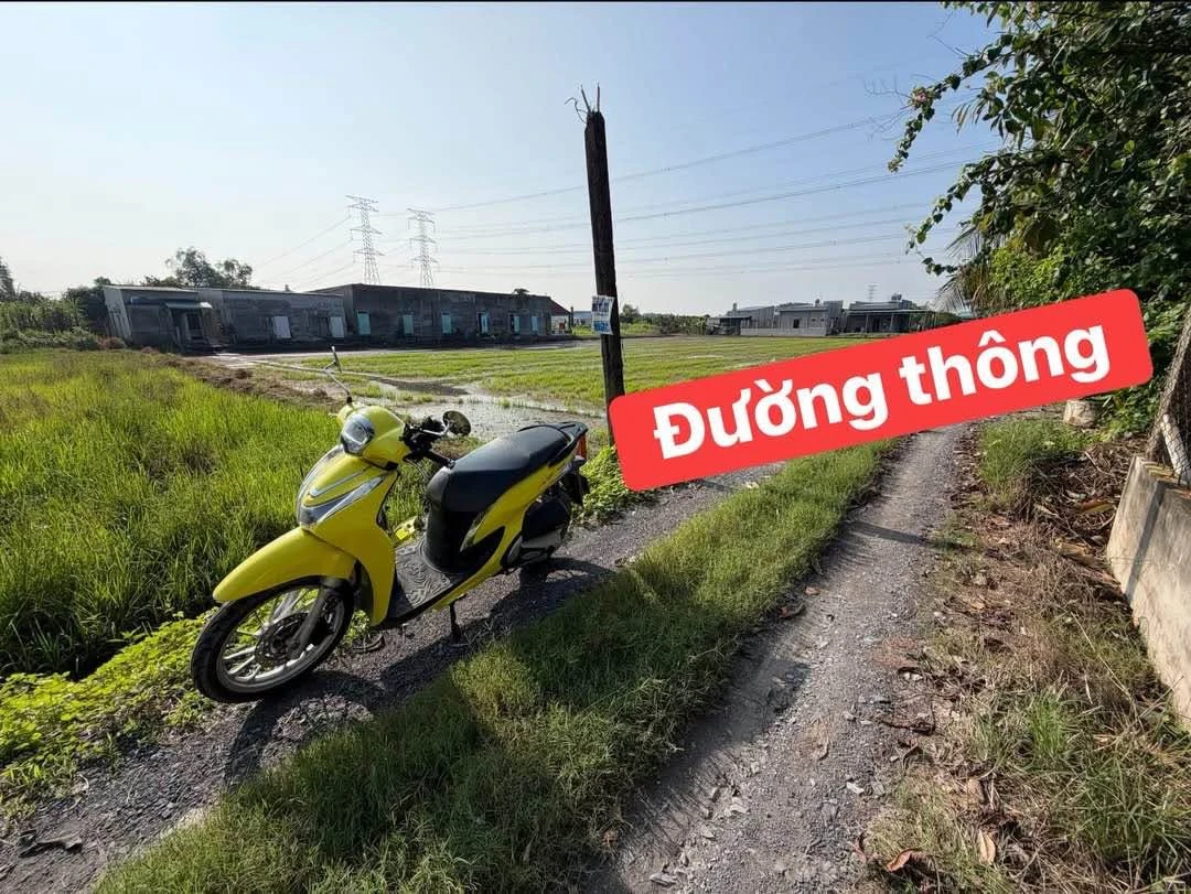 Bán 2 lô đất thổ cư liền kề 5x41m giá 650 triệu tại ấp Bình Lợi, xã Hòa Khánh Đông - Ảnh 1