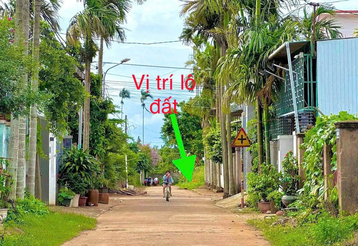 Bán đất mặt tiền 50m² D2 Phường Tân An - Ảnh thu nhỏ 4