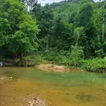 Bán đất rừng 7ha tại Đà Bắc Hòa Bình, giá 486 triệu - Ảnh thu nhỏ 3