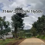 Bán đất nền 716m² tại Lâm Đồng, giá 1 tỷ 500 triệu - Ảnh thu nhỏ 1