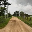 Diện tích lớn 1.4ha, có 500m2 thổ cư, đường ô tô, SHR, tại La Gi, thích hợp làm Homestay, phân lô - Ảnh thu nhỏ 22