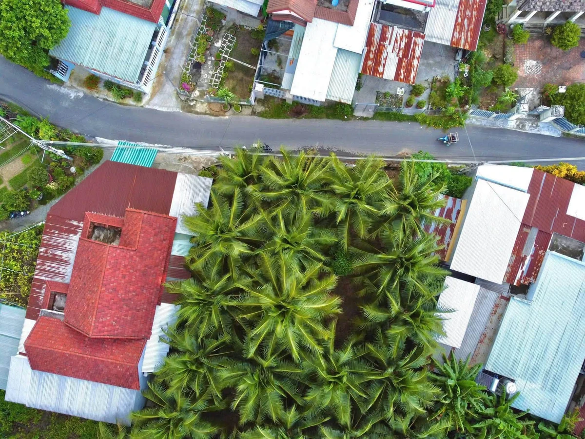 Bán vườn dừa Diên Lạc 99,5m², 960 triệu - Ảnh thu nhỏ 5