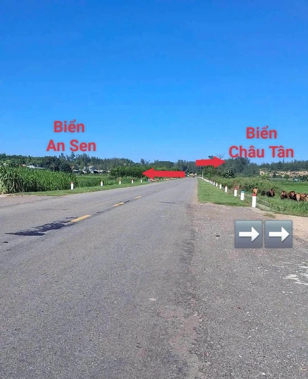 Bán đất ven biển Quảng Ngãi 114m2, giá 35 triệu