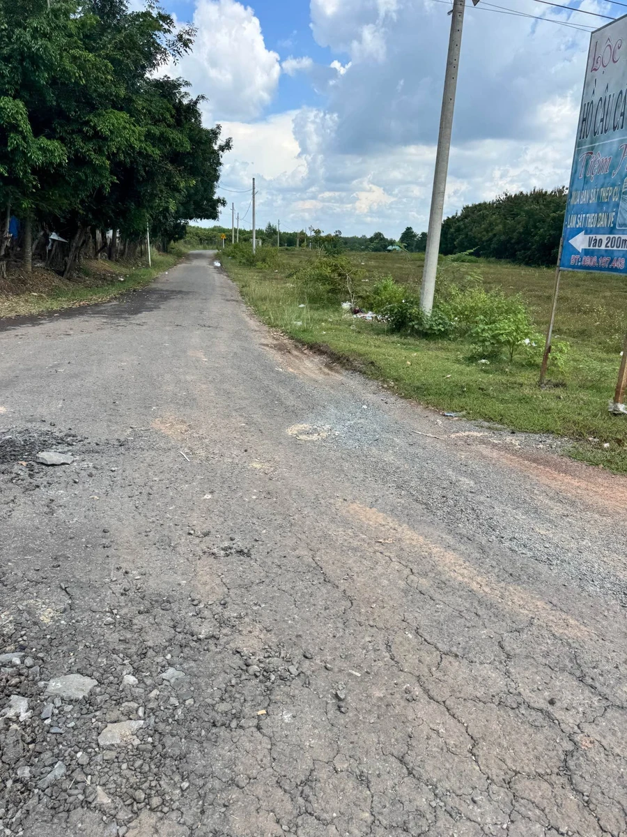 Bán đất vườn 2000 m² gần QL 13, Bàu Bàng, Bình Dương - Ảnh thu nhỏ 3