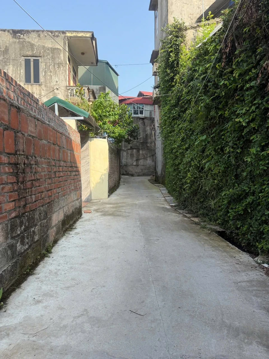 Bán 2 lô đất ngõ Trần Hưng Đạo, Hải Phòng, 45m² và 43m² - Ảnh thu nhỏ 5