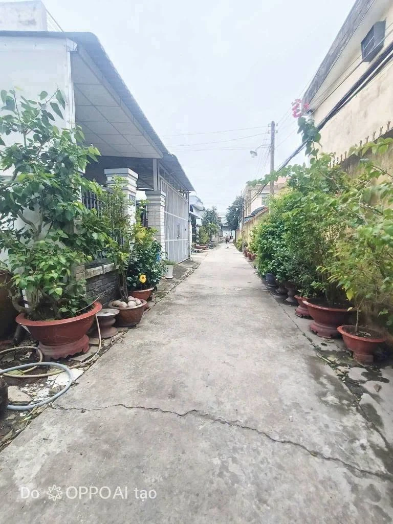 Bán đất thổ cư 4x24 (96m2) hẻm Cử Luyện, phường 5, Tân An, giá 800 triệu - Ảnh thu nhỏ 3