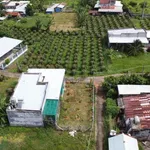 Bán lô đất thổ cư 130m2 góc 2 mặt đường, Lâm Đồng - Ảnh thu nhỏ 2