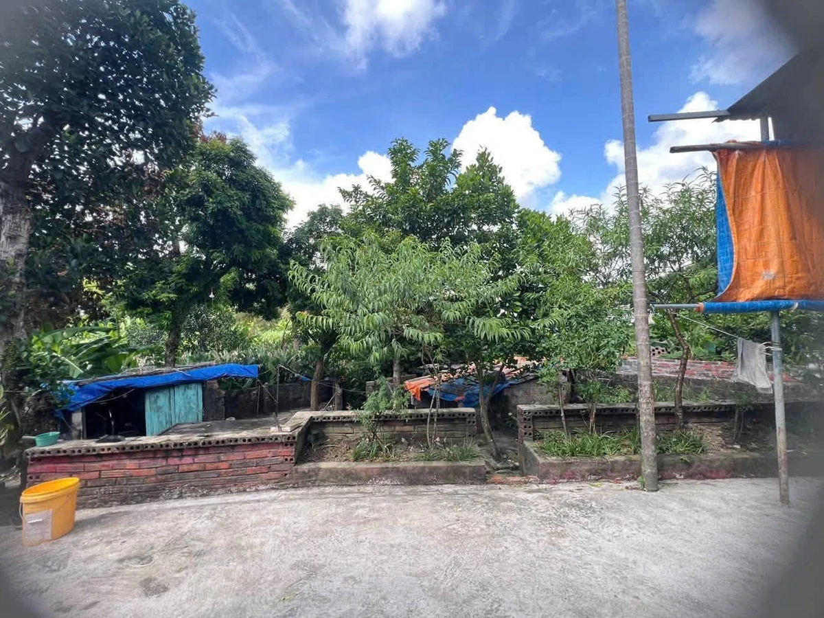 Bán đất Hà Phong Hạ Long 247.9 m² giá 1 tỷ 399 triệu - Ảnh thu nhỏ 4