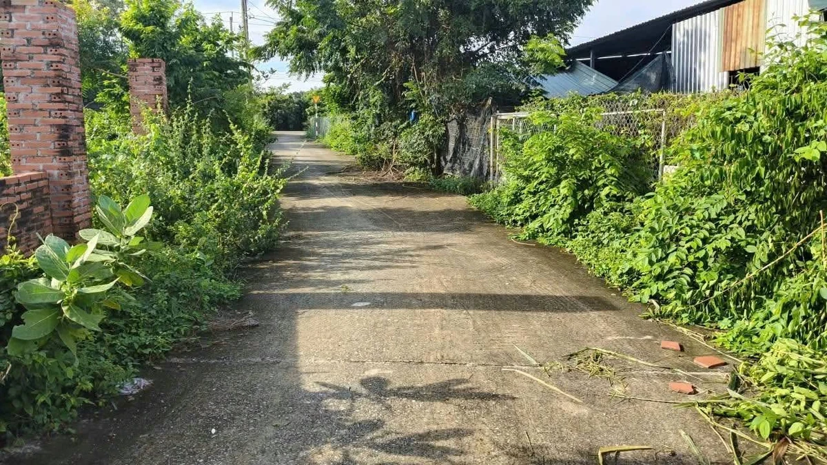 Bán đất Phước Hải, Vũng Tàu 150m2 giá 670 triệu - Ảnh thu nhỏ 2