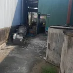 Bán đất mặt tiền 9,5 x 85 m (807,5 m²) 6,5 tỷ Thủ Thừa - Ảnh thu nhỏ 4