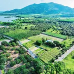Bán đất 285m² Phước Hải gần Hồ Sở Bông 2 tỷ 3 - Ảnh thu nhỏ 2